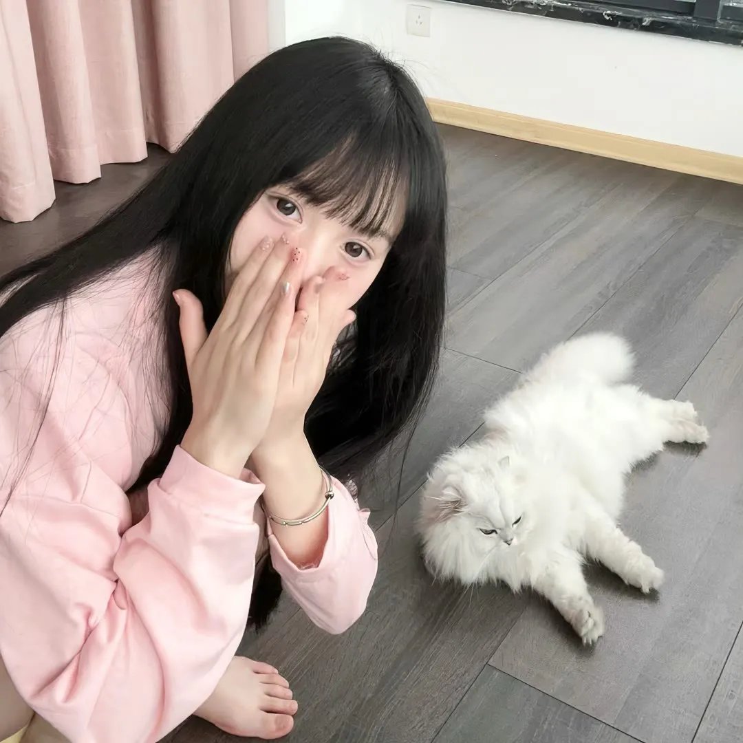 九一一事件簿